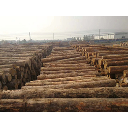 钦州汇森木业有限公司(多图)-建筑用杉木哪里的好-建筑杉木