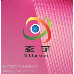 浙江厂家现货供应12色充气设备用PVC气膜布气密布