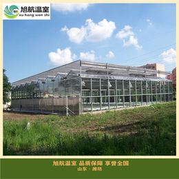 智慧农业大棚的设计 智能化玻璃温室大棚 全自动玻璃温室大棚