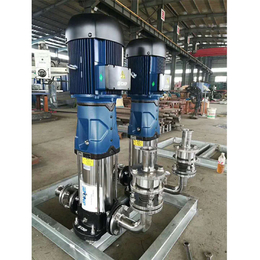 定西DL立式冲压泵-新楮泉泵业