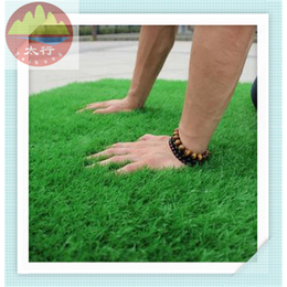 淮安****的环保绿化草坪地毯 娱乐场所假草坪塑料草坪地毯制造商