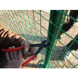 果园防护围栏-防护围栏-围栏生产厂家(查看)