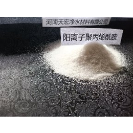天宏TH-01阳离子絮凝剂PAM白色药剂絮凝剂厂家