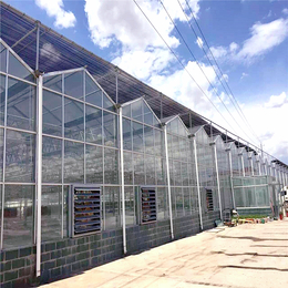 设计安装连栋玻璃温室大棚 智能连体玻璃大棚建设