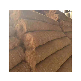 批发椰丝毯-大广新材料(在线咨询)-湖南椰丝毯