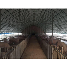 乌海新式养猪大棚图片询问报价-华牧养殖