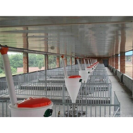 河北世昌自动化供料系统喂猪养猪赛盘料线使用好处