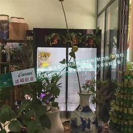 鲜花展示柜哪家好-西宁鲜花展示柜-达硕制冷设备生产