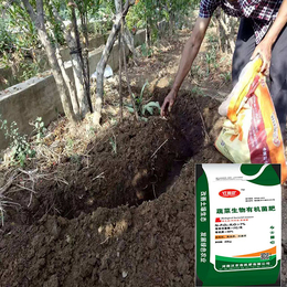 生物复合菌肥哪家好-荆门生物复合菌肥-沃农有机肥改良土壤