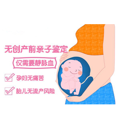 广州无创胎儿dna亲子鉴定