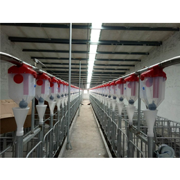 牧鑫养殖品质*格低-养猪自动化料线品牌-泸州养猪自动化料线