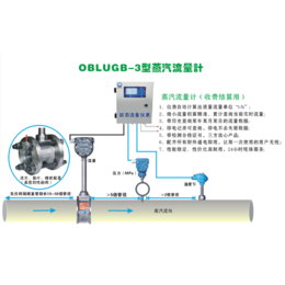 蒸汽流量计公司-无锡欧百仪表科技(在线咨询)-重庆蒸汽流量计
