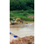 30吨挖掘机河沙泵 河沙泵厂家缩略图2