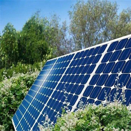 洁阳光伏发电(图)-太阳能电池板生产厂家-滨州电池板