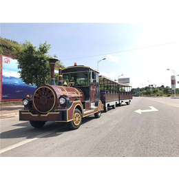 雅安电动观光小火车-湖南风扬-电动观光小火车采购电话