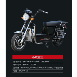 贵州电动自行车- 江苏邦能电动车轻便-折叠电动自行车价格