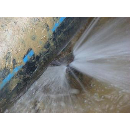 正规供水管漏水检测企业 消防管漏水检测维修服务