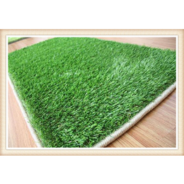 南昌便宜的假草草坪地毯屋顶塑料草坪绿草坪厂家供货缩略图