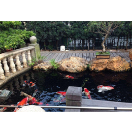 台州花园鱼池设计施工质量放心可靠