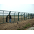 银川围栏网-围栏网生产厂家(在线咨询)-学校围栏网缩略图1