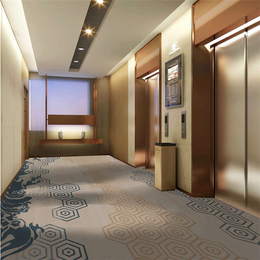 地毯厂-昂庭(在线咨询)-上海地毯