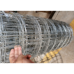 韩国钢丝网机械-钢丝网-泰泽丝网(查看)