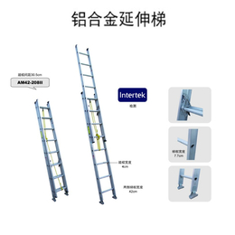 美标铝合金伸缩2米梯 承重100KG金锚梯子AM42系列 