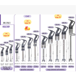 法国罗伯特 MP800 Turbo 手提式搅拌机 均质机