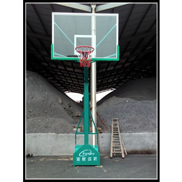 篮球架价格-湘奥体育(在线咨询)-甘肃篮球