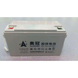 浙江胶体电池-胶体电池材质-奥冠新能源(推荐商家)