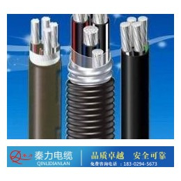 延安钢芯铝绞线-陕西电缆厂-钢芯铝绞线生产