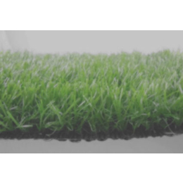 人造草坪工程-赛龙体育(在线咨询)-衢州人造草坪