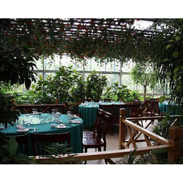 太原大棚生态餐厅-太原生态餐厅-太原益兴诚温室工程(查看)