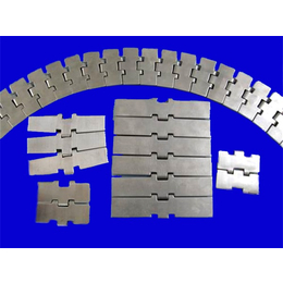 冷库输送耐腐蚀链板-衢州耐腐蚀链板-宁津顺鑫(查看)