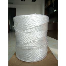 瑞祥包装现货出售-****塑料绳扎口绳子厂家-塑料绳扎口绳子厂家