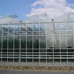 厦门温室大棚工程-贵贵温室-玻璃板温室大棚工程