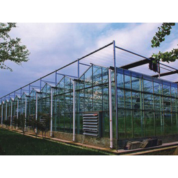 农业玻璃温室大棚厂家价格-鑫凯温室大棚厂区实景