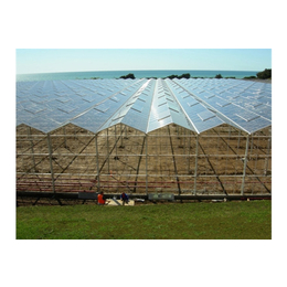 牡丹江温室大棚-青州瑞青农林科技-阳光板智能温室大棚报价