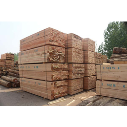 铁杉木方生产厂家-日照顺莆木材加工厂-德州铁杉木方