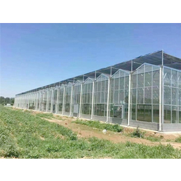 玻璃温室骨架-玻璃温室-青州瀚洋农业