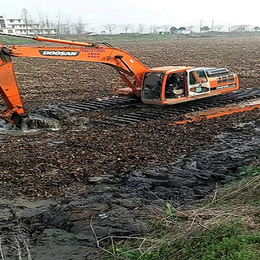 水陆挖掘机(图)-湿地挖掘机租赁价格-福建湿地挖掘机