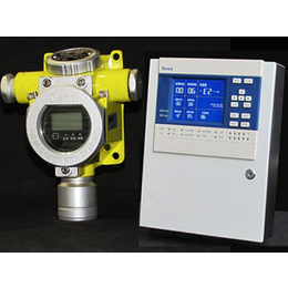 RBT-6000-ZLG液氨浓度检测仪