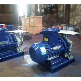 新楮泉水泵-ISW300-250管道增压泵生产厂家