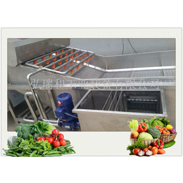 蔬菜加工设备-脱水蔬菜烘干机-多功能蔬菜清洗机设备