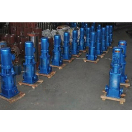 多级泵选型(多图)-葫芦岛40LG12-15x6立式多级泵