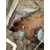 地下管道漏水检测 水管漏水检测维修*缩略图3