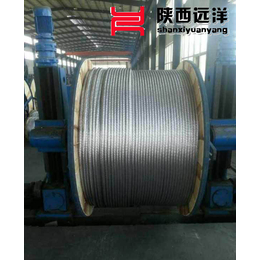 钢芯铝绞线现货-远洋电线电缆(在线咨询)-钢芯铝绞线