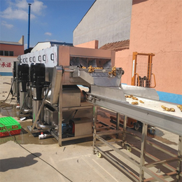 大葱喷淋式清洗机厂家-汇康食品机械-临川区大葱喷淋式清洗机