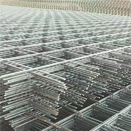 安平百鹏丝网(图)-电焊网护栏-香港电焊网