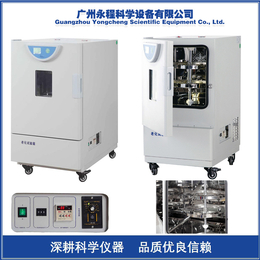 上海一恒 BHO-401A 实验室老化试验箱 塑料材料试验机
